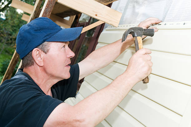 Best Stone Veneer Siding  in Union City, IN